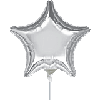 4" Silver Star