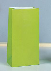 Lunch Bag - Apple Green