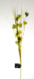 18" Heart Spray with Grass - Gold