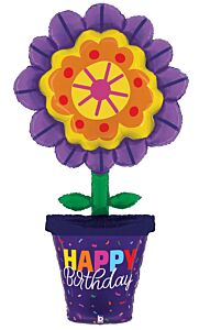 63" Special Delivery Bold Bloom