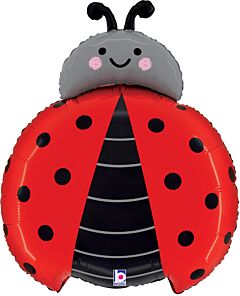 24" Lady Bug