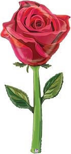 65" Fresh Pick Satin Rose