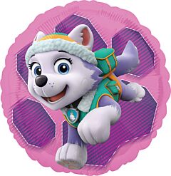 17" Paw Patrol Skye/Everest