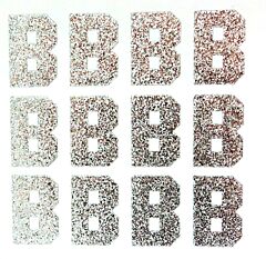1.5" Silver Glitter Letter B
