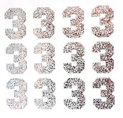 1.5" Silver Glitter Number 3