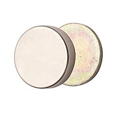 Lomey Corsage Magnet