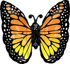 25" Monarch Butterfly Glow