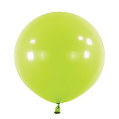 24" Anagram Fashion Kiwi Latex