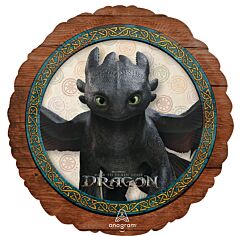 17" How to Train Your Dragon