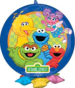 19" Sesame Street Frillz