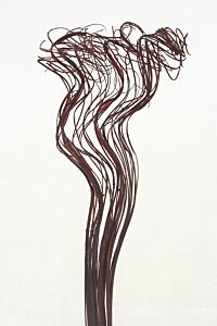 2oz Velvet Curly Ting Ting - Brown