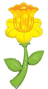 5' Fresh Pick - Daffodil