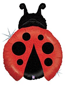 27" Little Ladybug