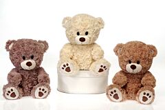 9.5" Sitting Pawprint Bear Plush