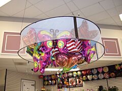 Balloon Corral - 6' X 24