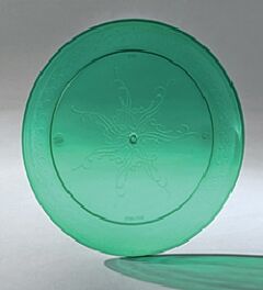 9" Dinner Plate - Green 12/20