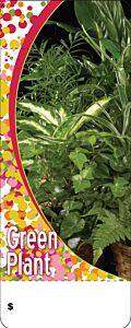 Care Tag - Green Plant