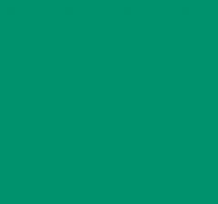 20X30 Holiday Green Tissue