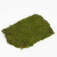 5.5lb Natural Sheet Moss