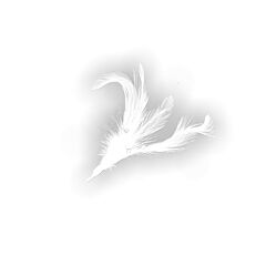 6" Flutterzz White Feathers