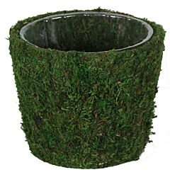 5.5" Diameter Moss Pot Green