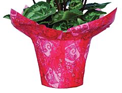 4" Speed Cover - Love Blooms