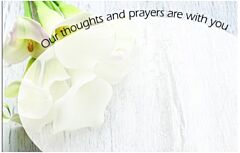 Enclosure Card - Our Thoughts