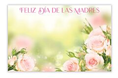 Enclosure Card - Spanish Mother's Day