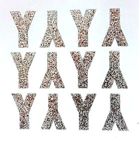 1.5" Silver Glitter Letter Y