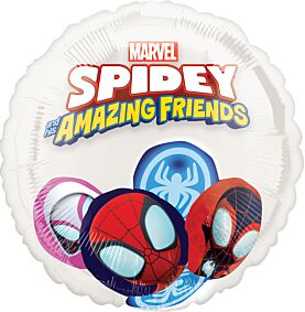 20" Spidey and His Amazing Friends