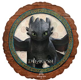 17" How to Train Your Dragon