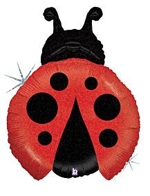 27" Little Ladybug