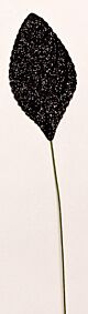 Black Glitter Corsage Leaves