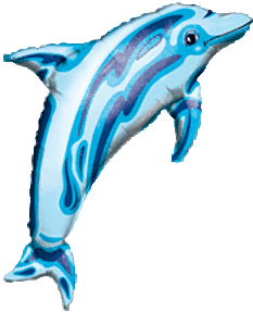 37" Blue Dolphin