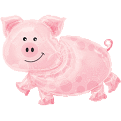 25" Pig