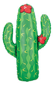 41" Cactus