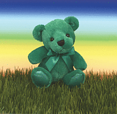 6" Rainbow Bear Plush - Green