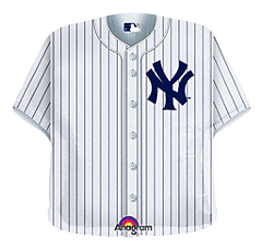 24" NY Yankees Jersey