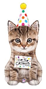 41" Cue The Catfetti Cat