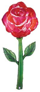 5' Fresh Picks Watercolor Rose
