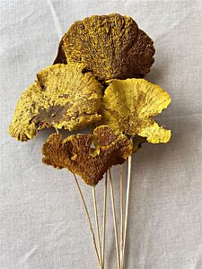 Sponge Mushroom Pick - Goldenrod
