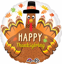 17" Thanksgiving Pilgrim Turkey
