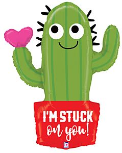 32" Stuck On You Cactus