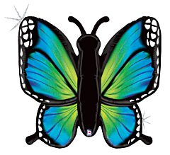 46" Rad Blue Butterfly