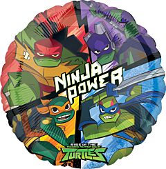 17" Rise of the Teenage Mutant Ninja Turtles