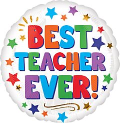 17" Best Teacher Ever