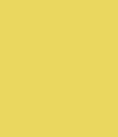 200 yd Poly Ribbon 40 - Citrine Yellow