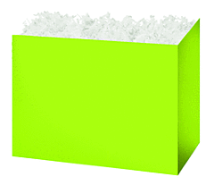 Large Box - Lime Green