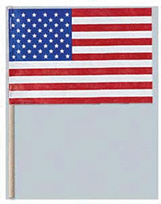 4" X 6" Tyvek American Flag