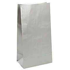 Paper Gift Bag - Metallic Silver 10ct